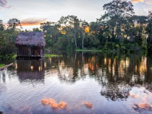Alto Amazonas, las fuentes de la selva
