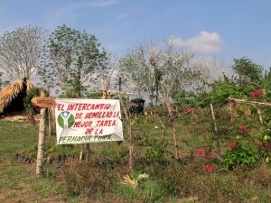 Permacultura en Cuba: una oportunidad ante la escasez forzada